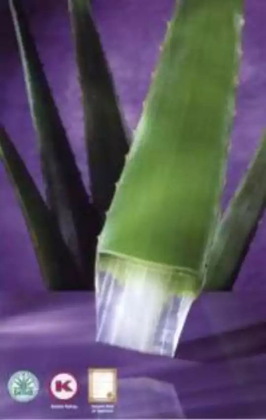 aloe 1.jpg